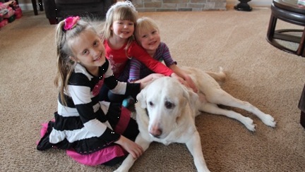 See why we are Long Island NY Area's #1 carpet cleanign choice